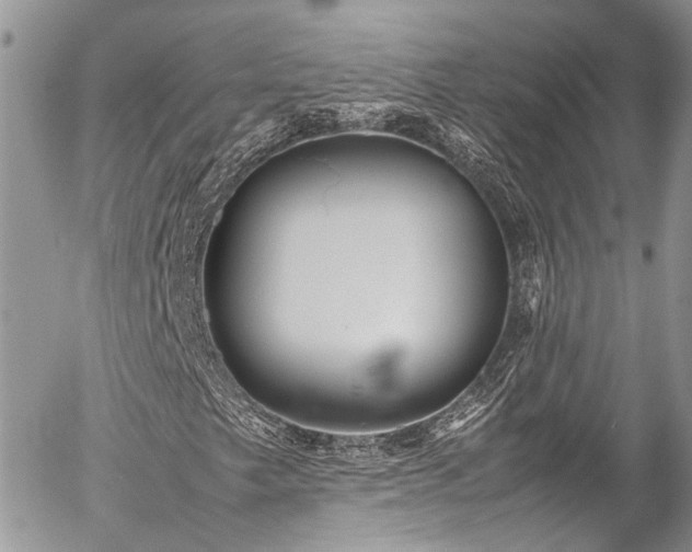 X0000054371249200507291038