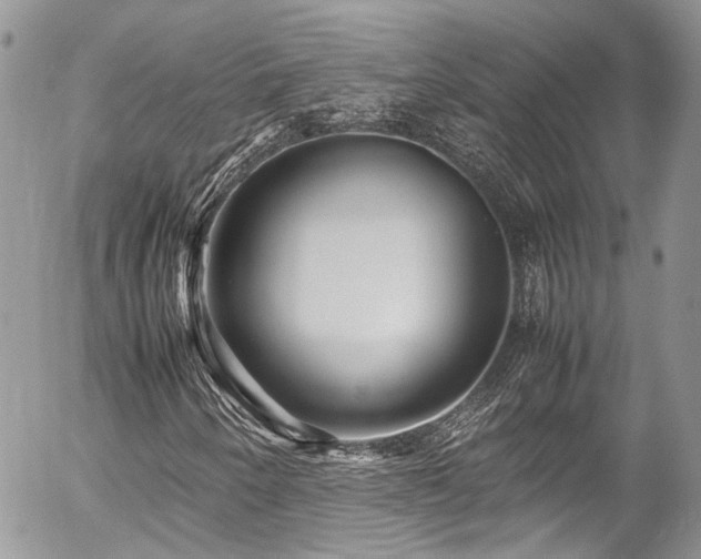 X0000054371250200507291038