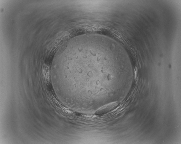 X0000054371251200507291038