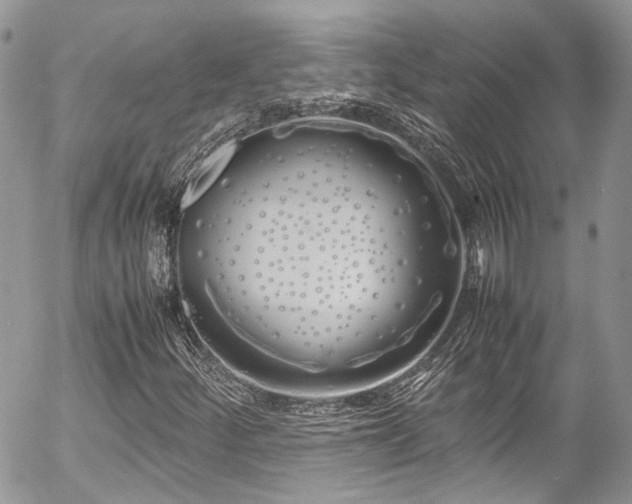 X0000054371252200507291038