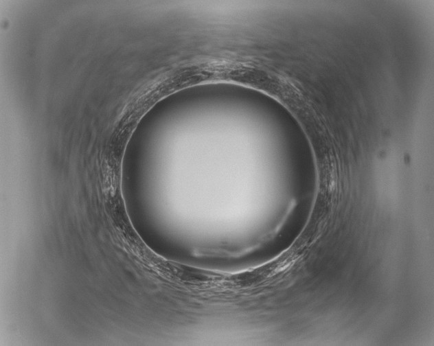 X0000054371253200507291038