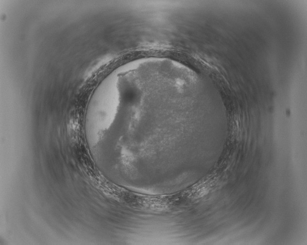 X0000054371254200507291038