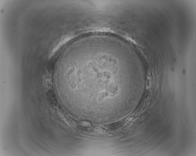 X0000054371255200507291038