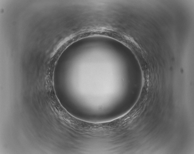 X0000054371256200507291038