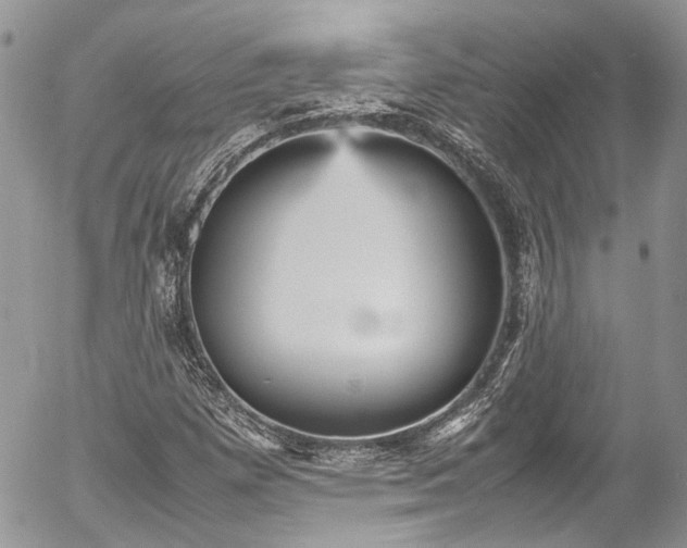 X0000054371257200507291038