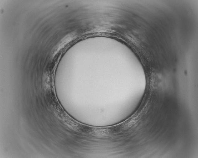 X0000054371258200507291038