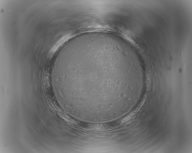 X0000054371259200507291038