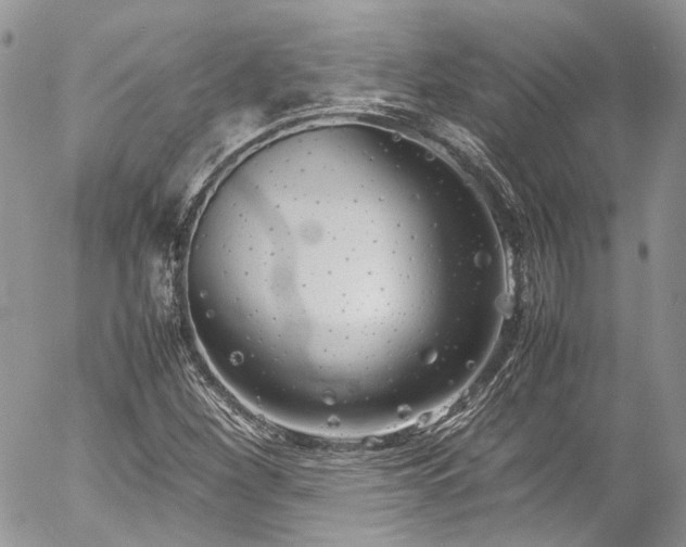 X0000054371260200507291038