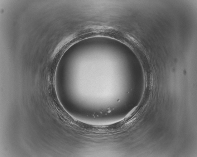 X0000054371261200507291038