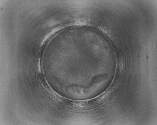 X0000054371262200507291038