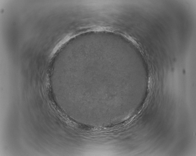 X0000054371263200507291038