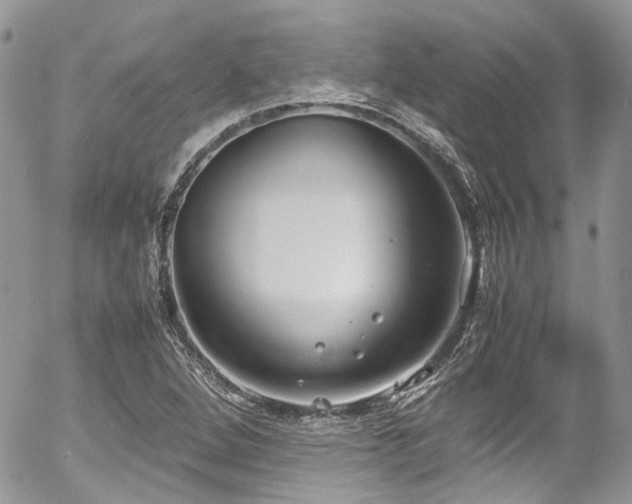 X0000054371264200507291038