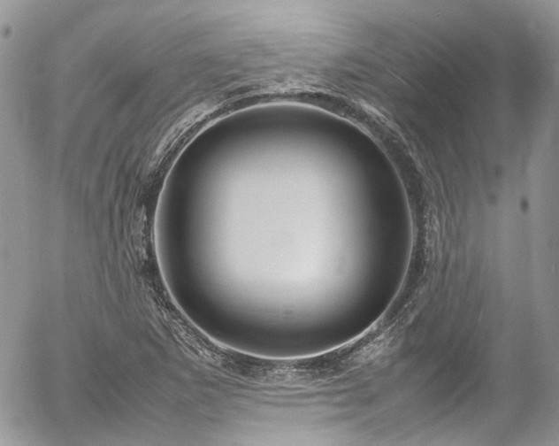 X0000054371265200507291038