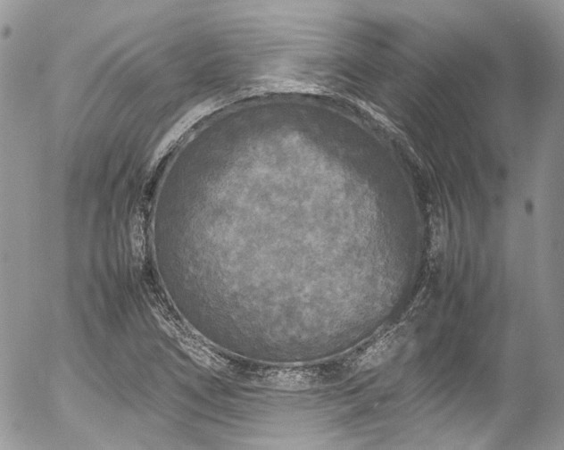 X0000054371266200507291038