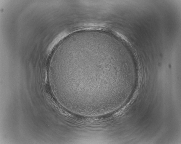 X0000054371267200507291038