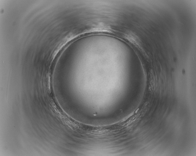 X0000054371268200507291037