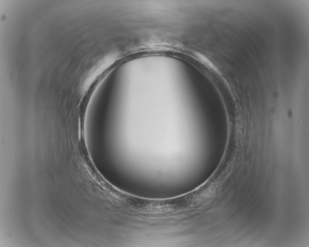 X0000054371269200507291037