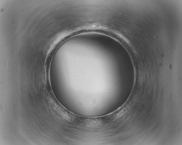 X0000054371270200507291037