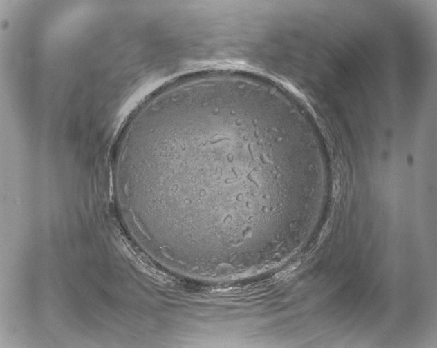 X0000054371271200507291037