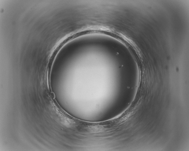 X0000054371272200507291037