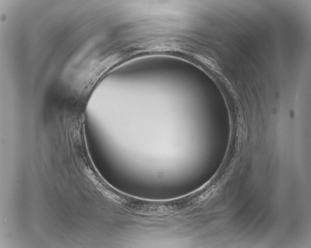 X0000054371273200507291037