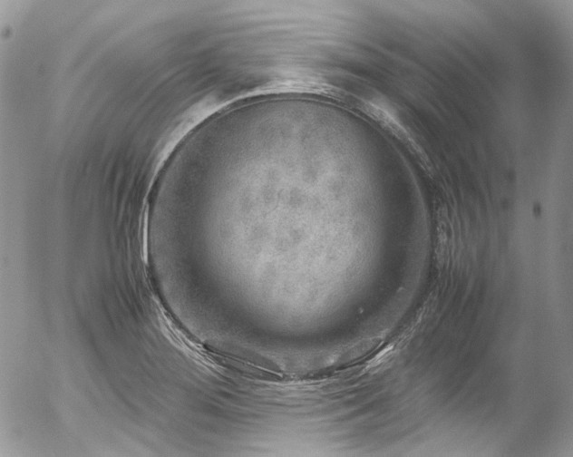 X0000054371276200507291037