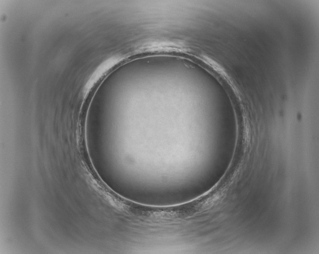 X0000054371277200507291037