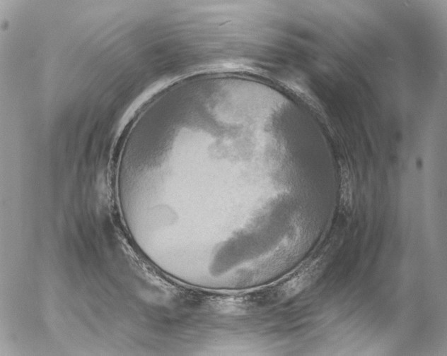 X0000054371278200507291037