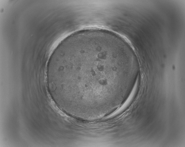 X0000054371279200507291037