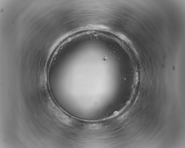 X0000054371280200507291037