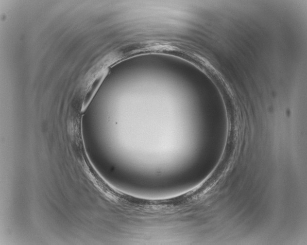 X0000054371281200507291037