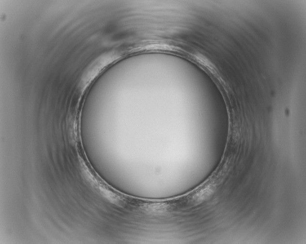 X0000054371282200507291037