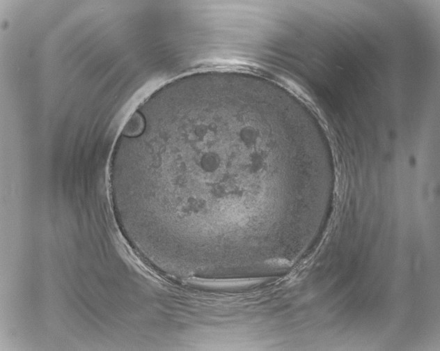 X0000054371283200507291037