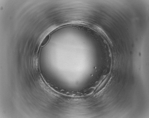 X0000054371284200507291037