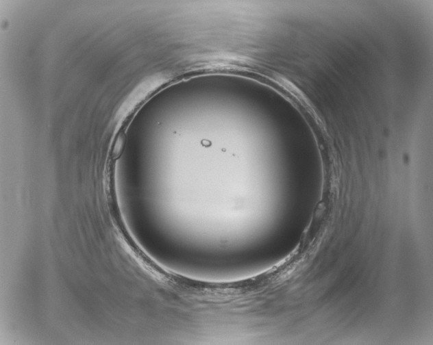 X0000054371285200507291037