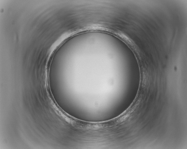 X0000054371286200507291037