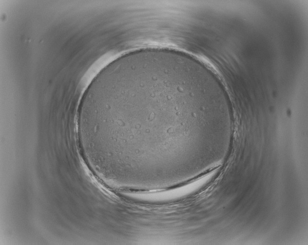 X0000054371287200507291037