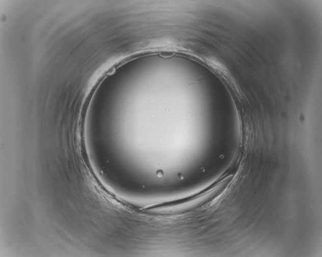 X0000054371288200507291037