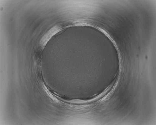 X0000054371289200507291037