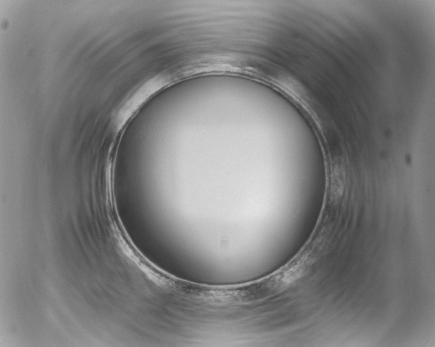 X0000054371290200507291037