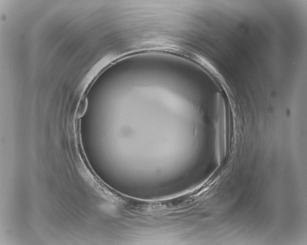 X0000054371291200507291037