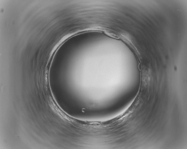 X0000054371292200507291037