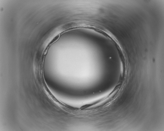 X0000054371293200507291037