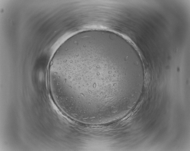 X0000054371295200507291037