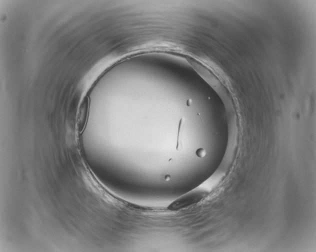 X0000054371296200507291037