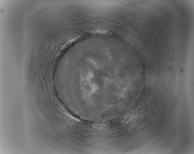 X0000054371297200507291036