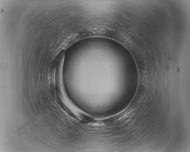 X0000054371298200507291036