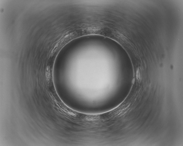 X0000054371299200507291036