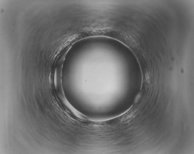 X0000054371300200507291036