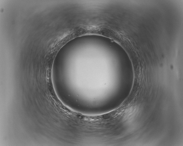 X0000054371301200507291036